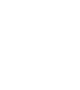 ESA business incubation centre Austria logo